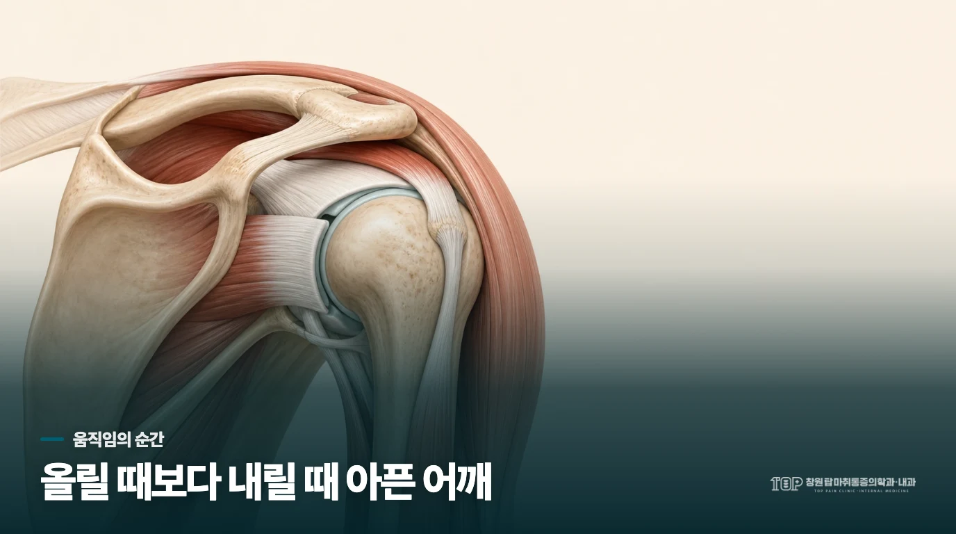 재킷을 내릴 때 어깨가 찌르는 이유