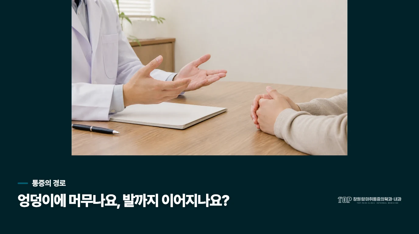 앉을 때 아픈 곳이 다리 아래로 이어진다면