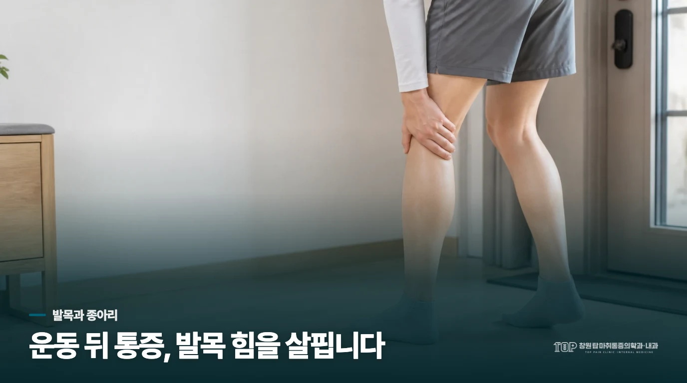 발목을 움직일 때 종아리가 당기는 까닭