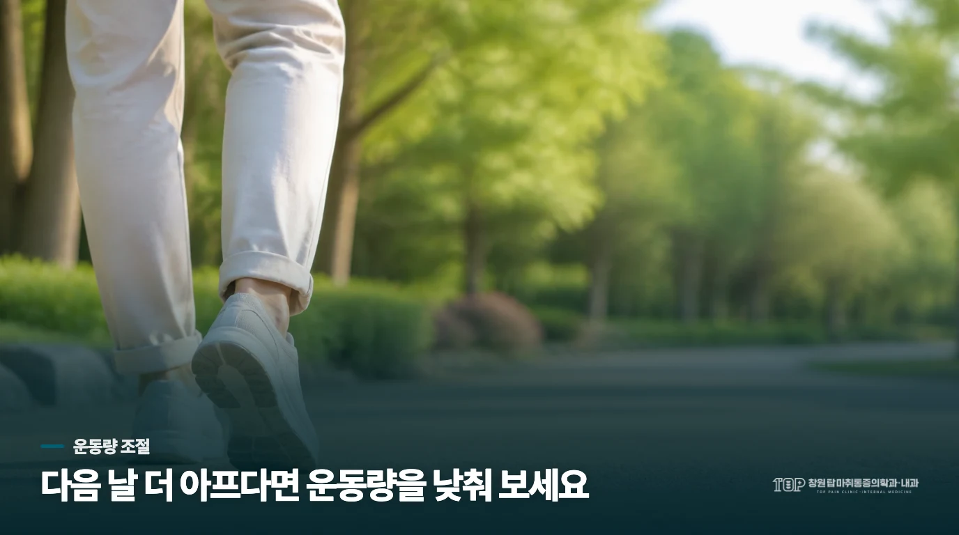 다음 운동량은 아침 첫걸음이 알려줍니다