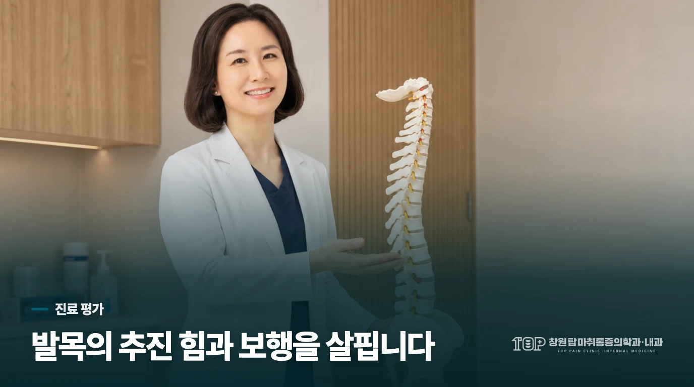 진료에서는 아킬레스건과 발목의 추진 기능을 함께 봅니다