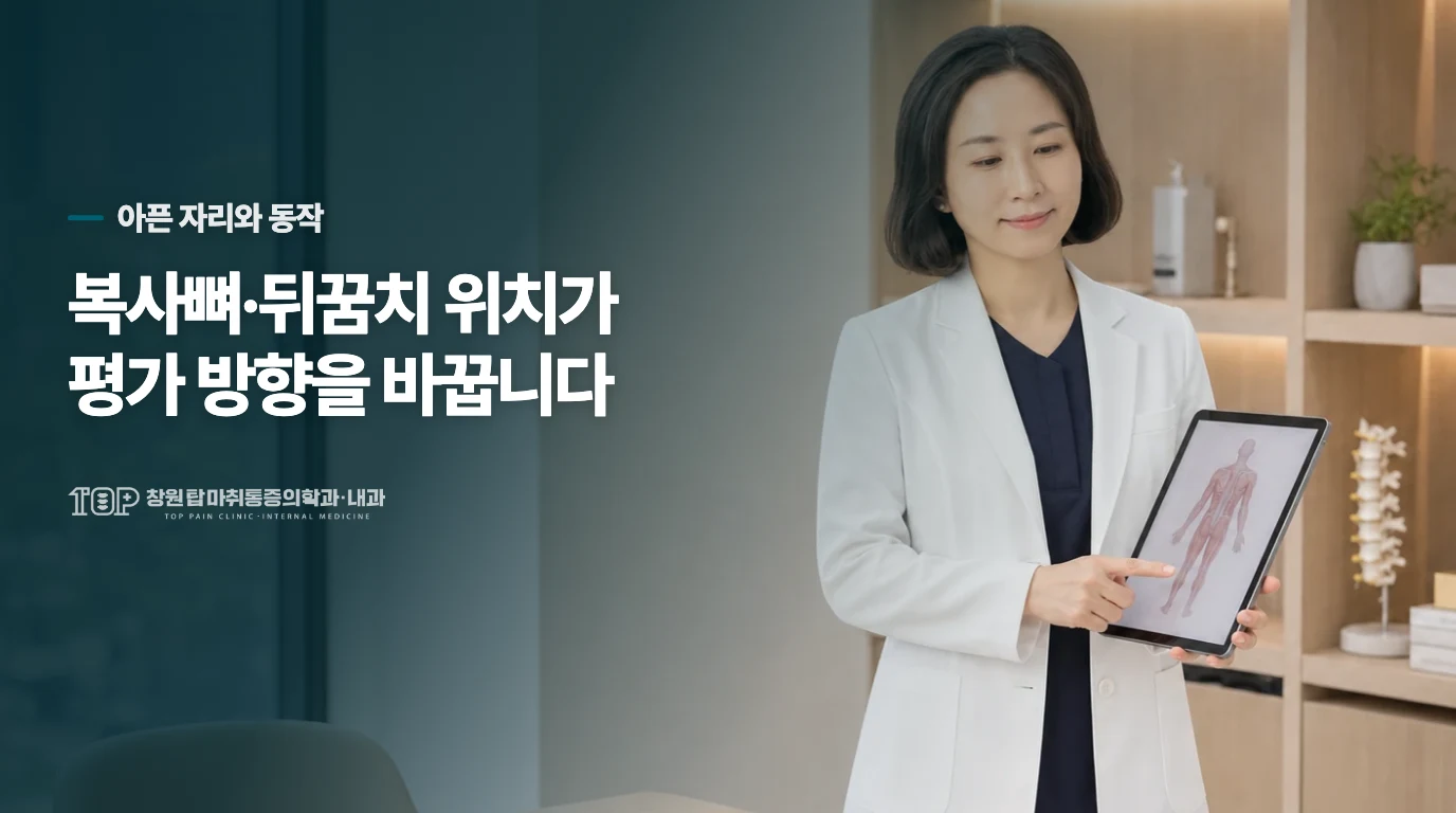 아픈 위치와 움직임에 따라 살필 조직이 달라집니다