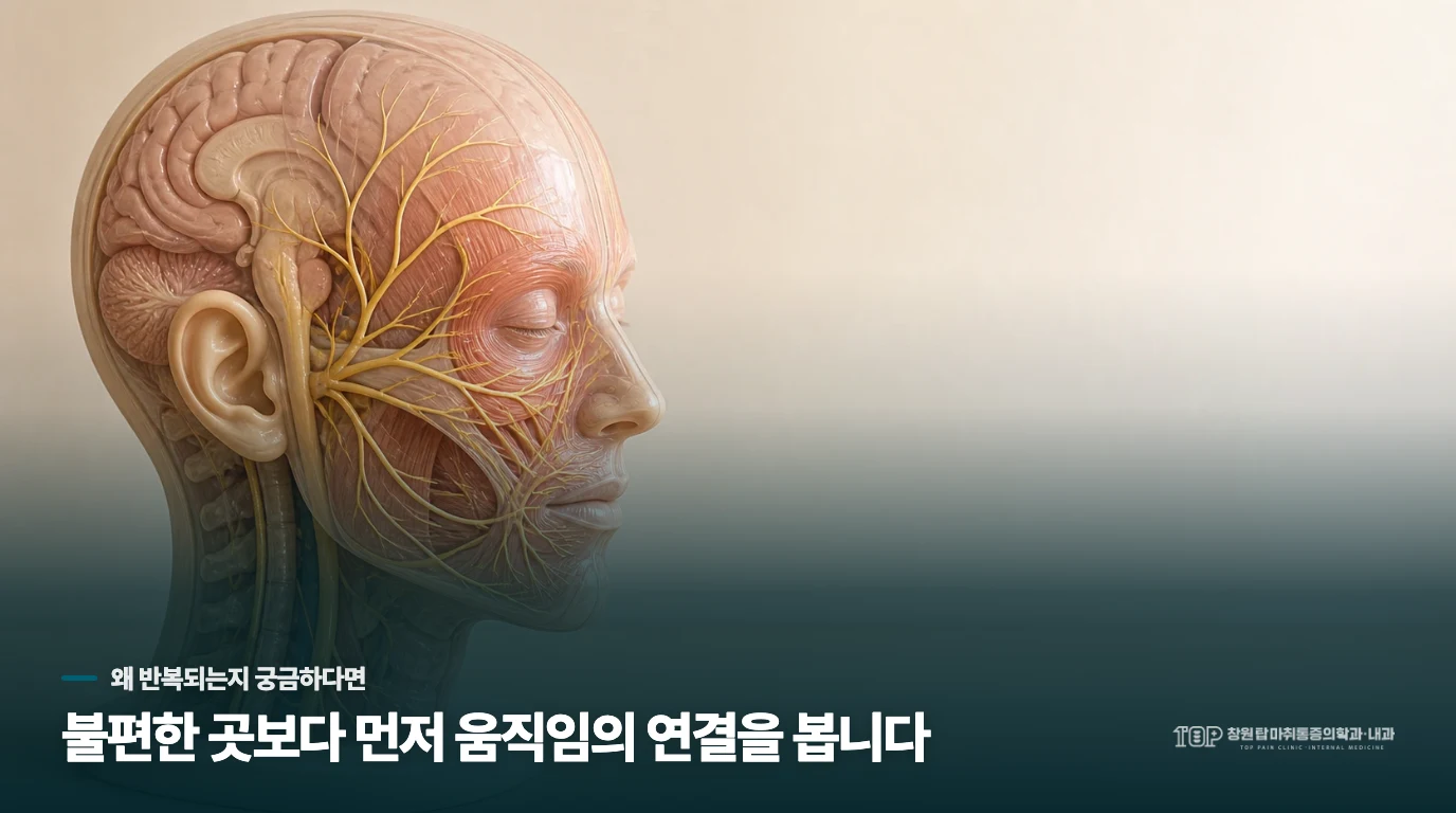 혈관이 신경을 누르면 왜 얼굴에 통증이 느껴지는 건가요?